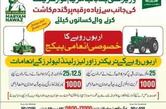 CM Punjab Special Scheme for Wheat Farmers 2024-2025 under Kisan Package