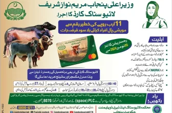Punjab Livestock Card Program 2025 Launched by CM Punjab Maryam Nawaz