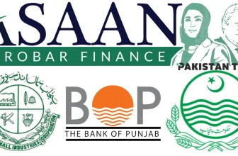 How to Apply for Punjab’s Asaan Karobar Finance Scheme: A Step-by-Step Guide