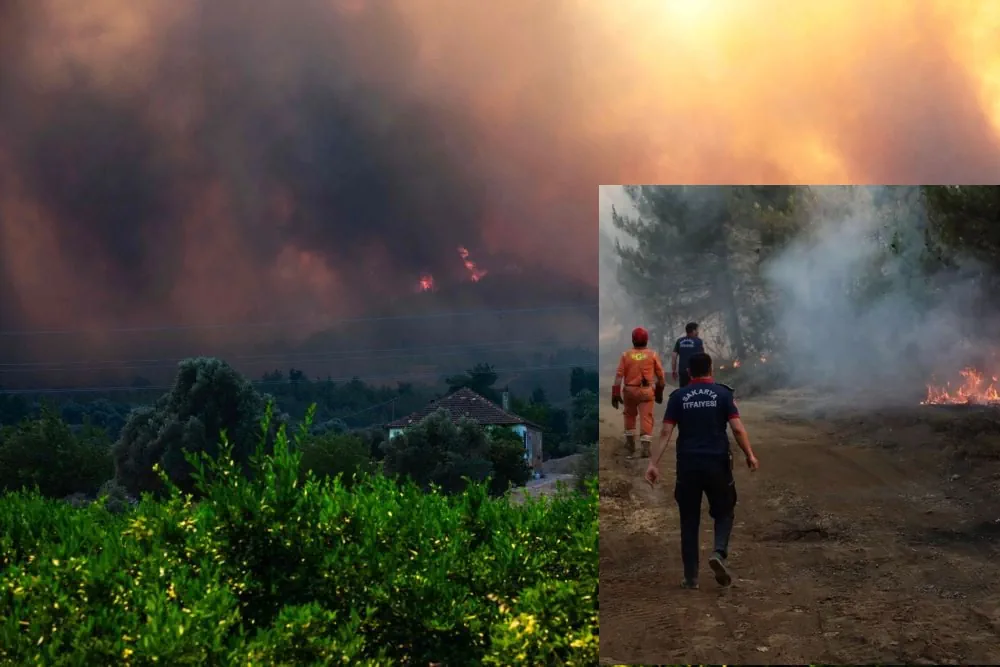 Turkey Evacuates Over 50,000 as Wildfires Devastate Izmir Province and Beyond