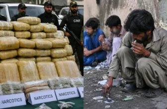 Punjab CNF seizes 24.5 tonnes of narcotics in first nine months
