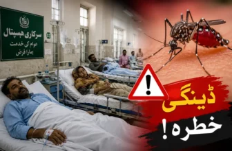 Khyber Pakhtunkhwa Reports 35 New Dengue Cases in One Week, Annual Total Reaches 250