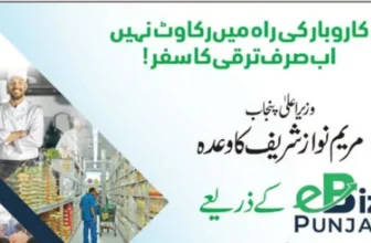 Punjab eBiz Portal Offers Online Business Registration: Here’s How to Apply